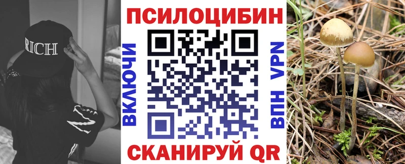 Галлюциногенные грибы прущие грибы кракен ТОР Александров
