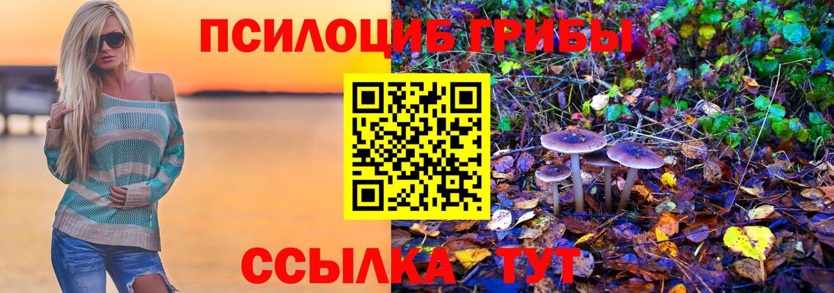 Псилоцибиновые грибы мухоморы Александров