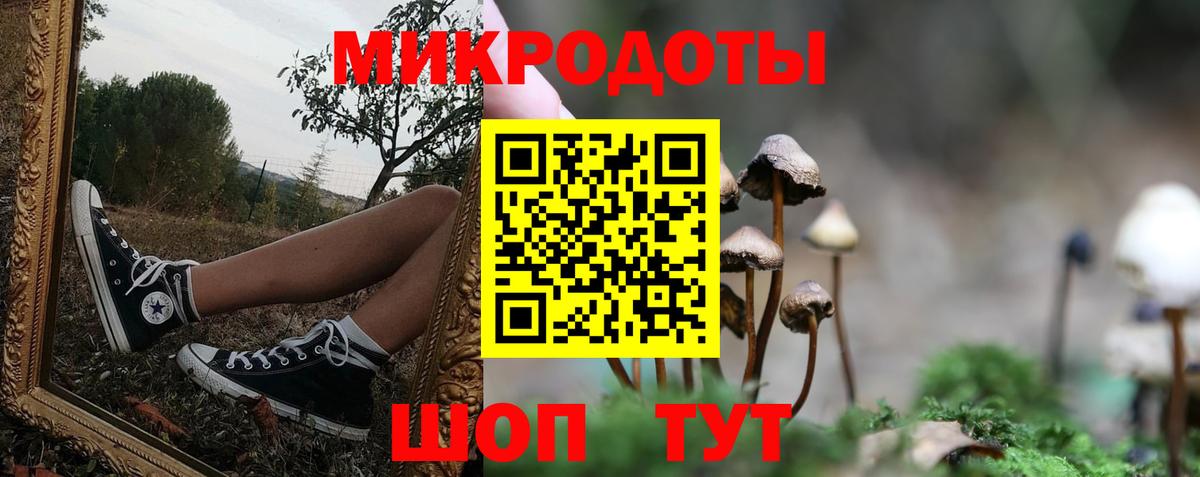 Галлюциногенные грибы Psilocybe  Вход с VPN  Александров  Псилоцибиновые грибы прущие грибы 